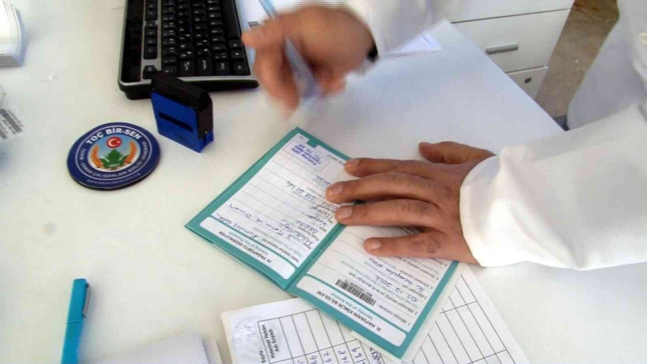 Kayseri’de 5 bin 512 evcil hayvana çip takıldı