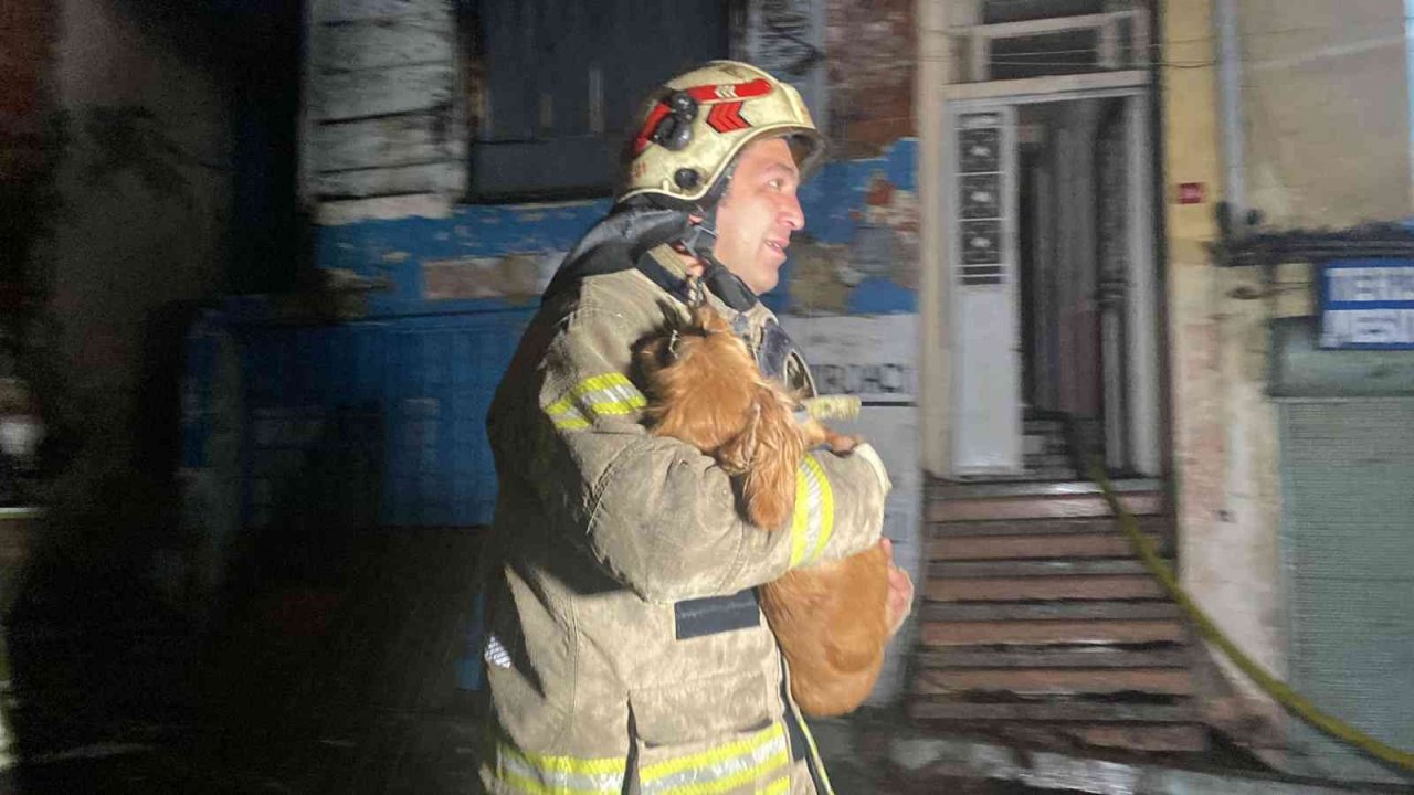 Fatih’te 3 katlı ahşap metruk bina alev alev yandı: Bodrum katında bulunan 2 köpeği itfaiye ekipleri kurtardı