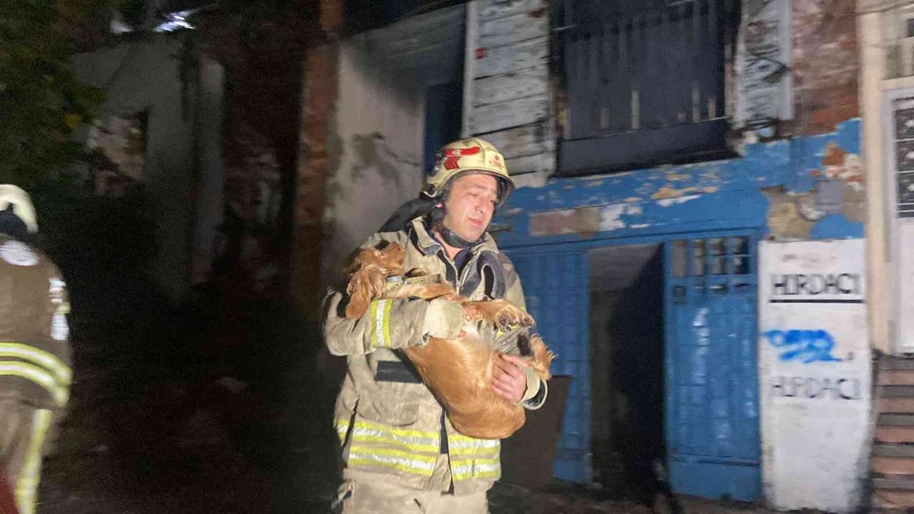 Fatih’te 3 katlı ahşap metruk bina alev alev yandı: Bodrum katında bulunan 2 köpeği itfaiye ekipleri kurtardı