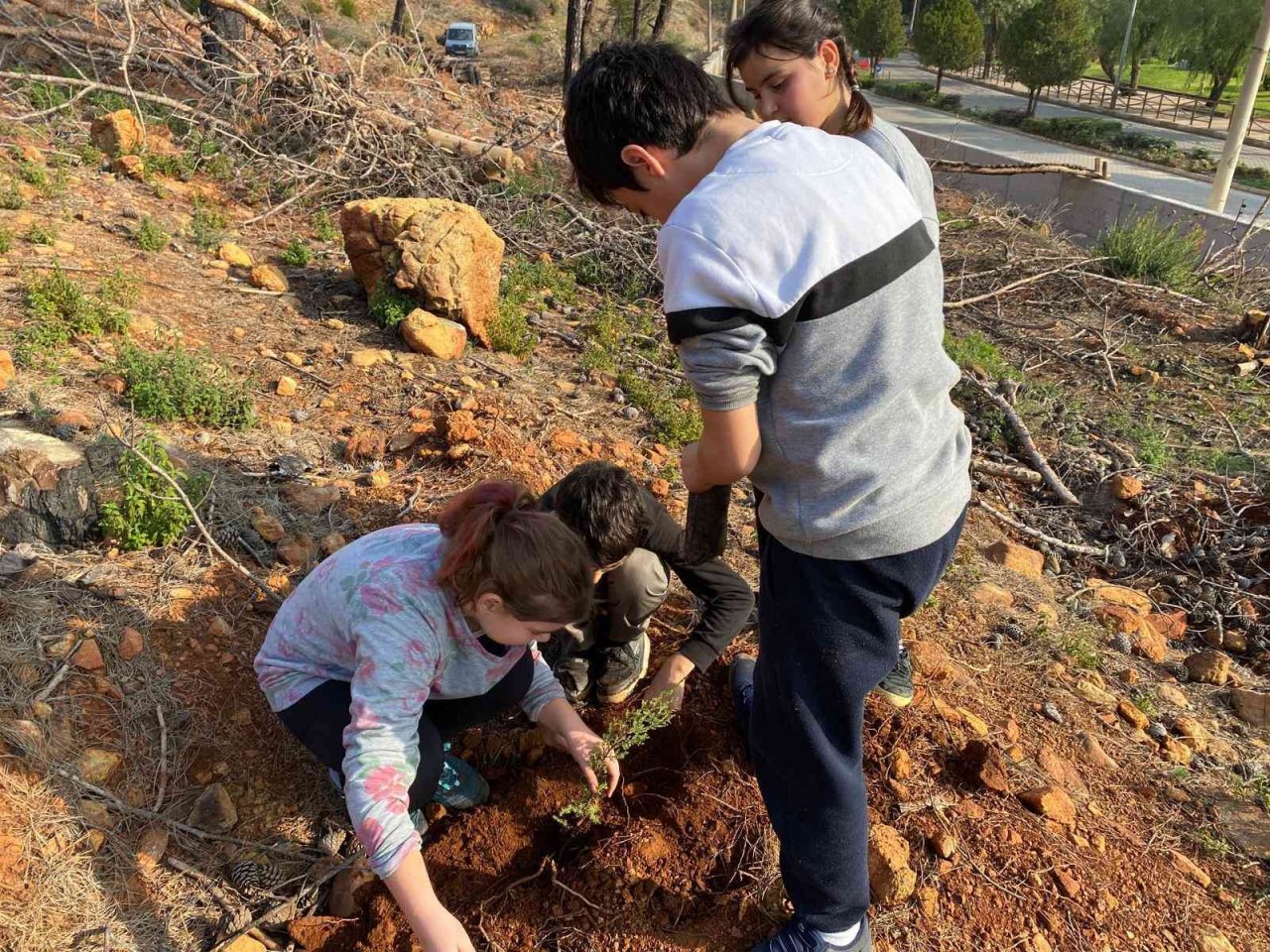 İçmelerli öğrenciler yüzlerce fidanı toprakla buluşturdu