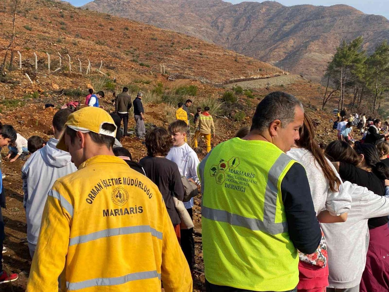 İçmelerli öğrenciler yüzlerce fidanı toprakla buluşturdu
