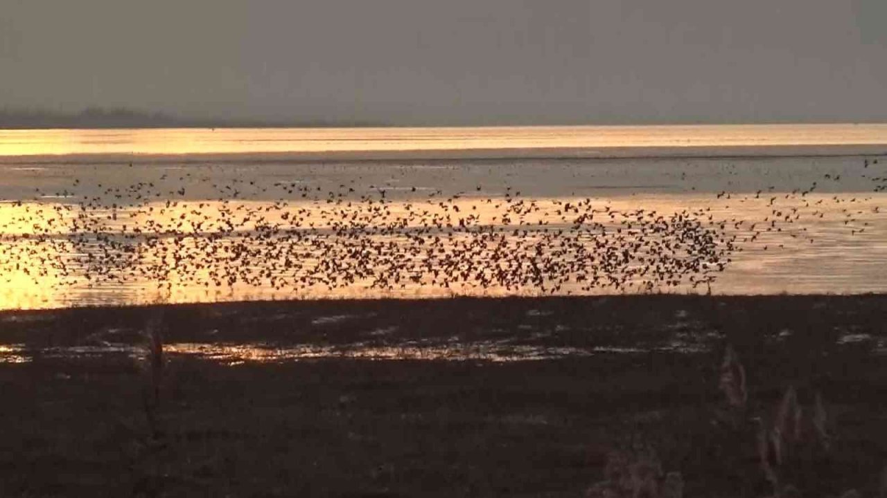 Beyşehir Gölü’nde gün batımında sığırcıklardan gökyüzünde görsel şölen