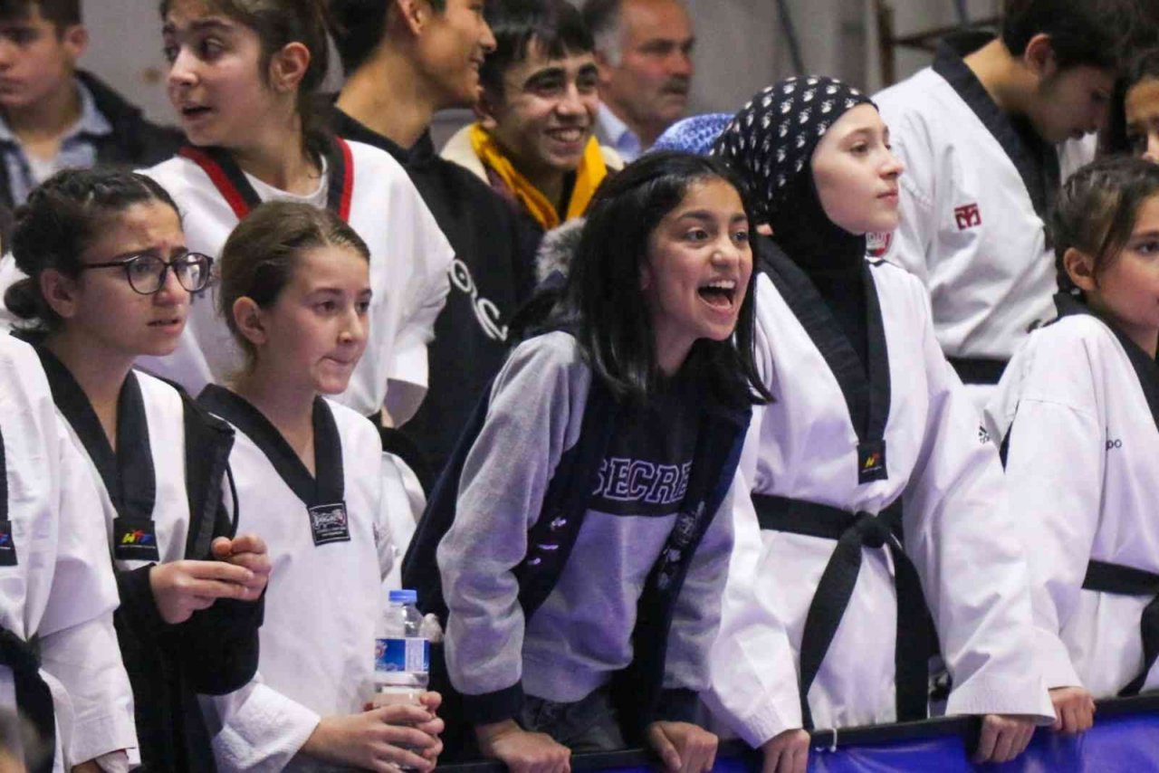 Sivas’ta kulüpler tekvandoda mücadele etti