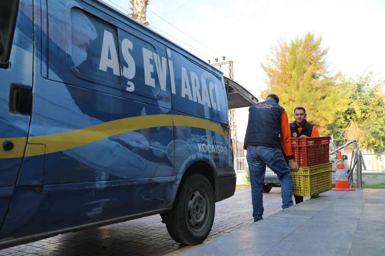 Yüreğir’de her gün 4 bin 200 kişiye sıcak yemek