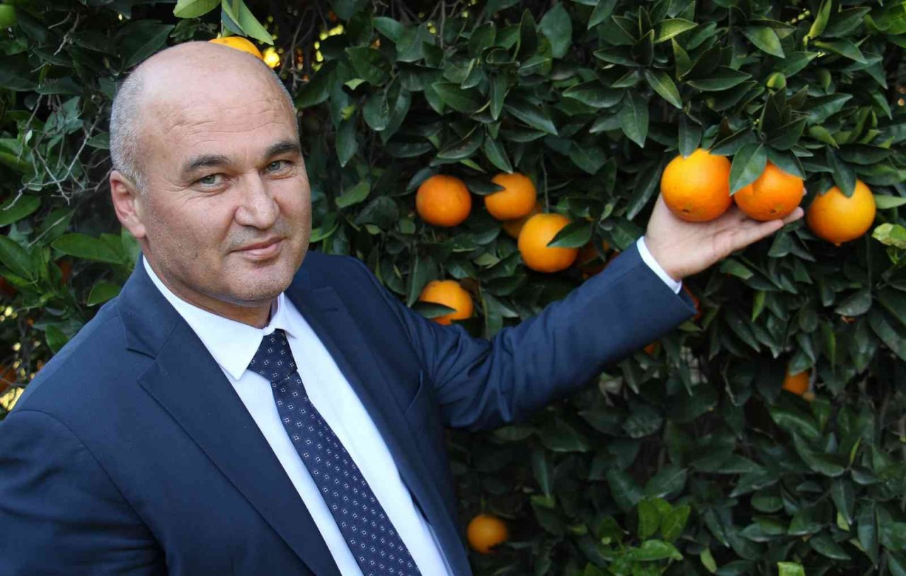 Mersin’de portakalda hasat başladı