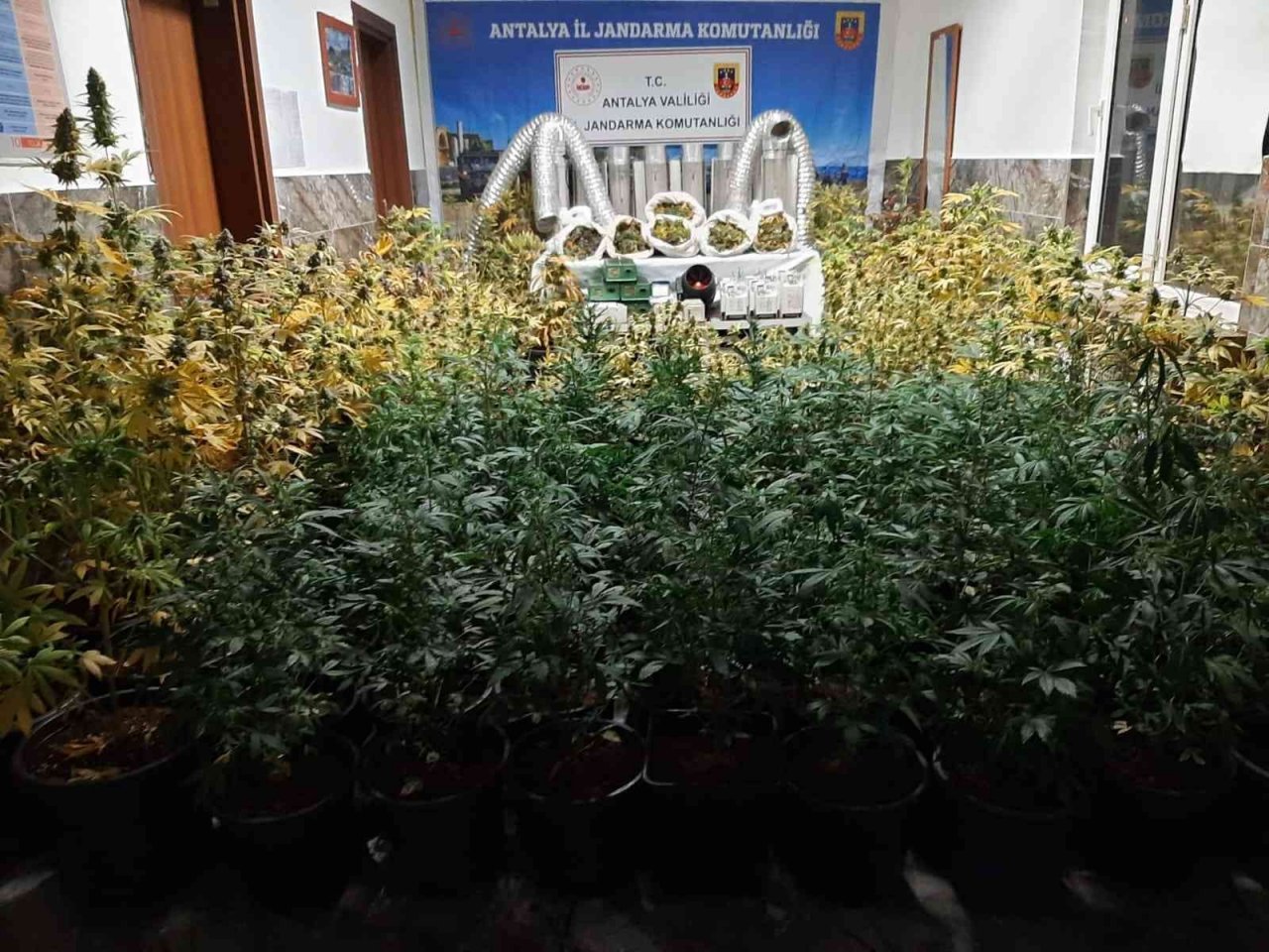 Kiralık evde uyuşturucu laboratuvarına jandarma baskını