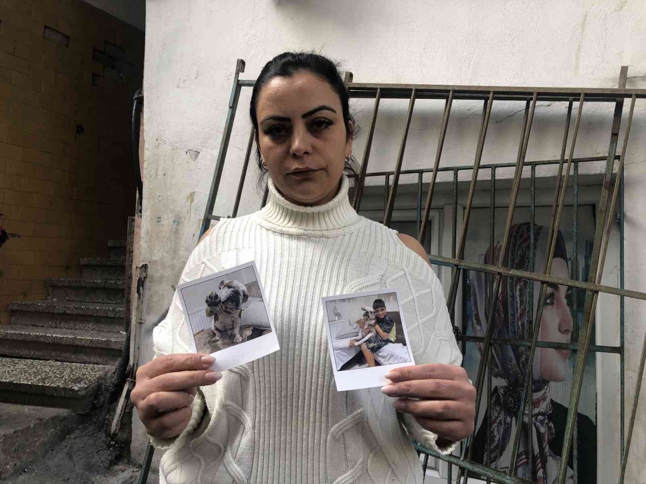 Arnavutköy’de arabayla çarpılarak ölen köpeğin sahibi konuştu