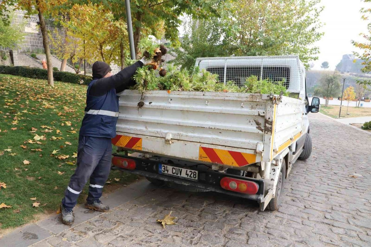 Kavşak ve refüjler 200 bin lale ile süslenecek