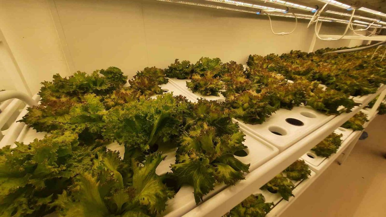 Dünyanın 2’nci dikey tarım merkezi, Tarım ve Orman Bakanı Vahit Kirişci tarafından İstanbul’da açıldı