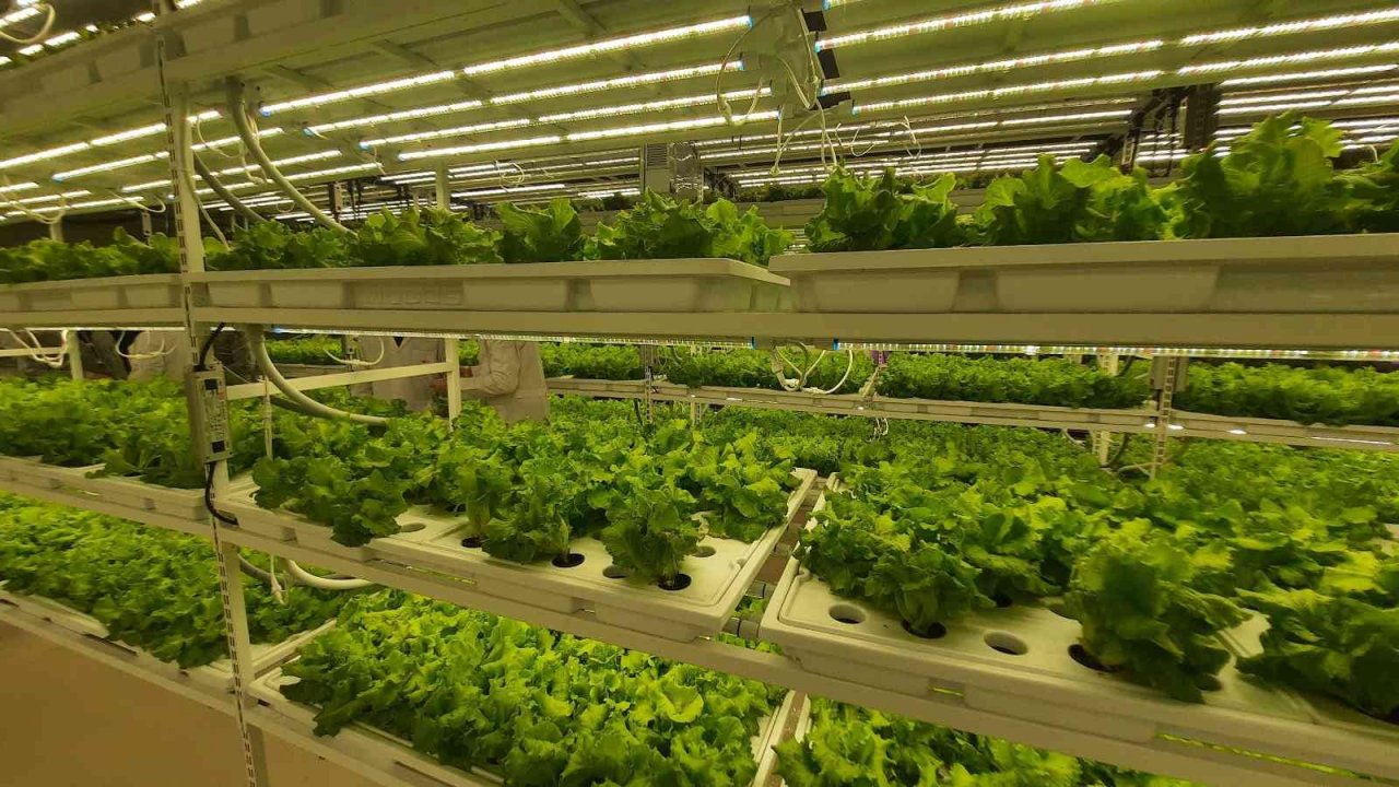 Dünyanın 2’nci dikey tarım merkezi, Tarım ve Orman Bakanı Vahit Kirişci tarafından İstanbul’da açıldı