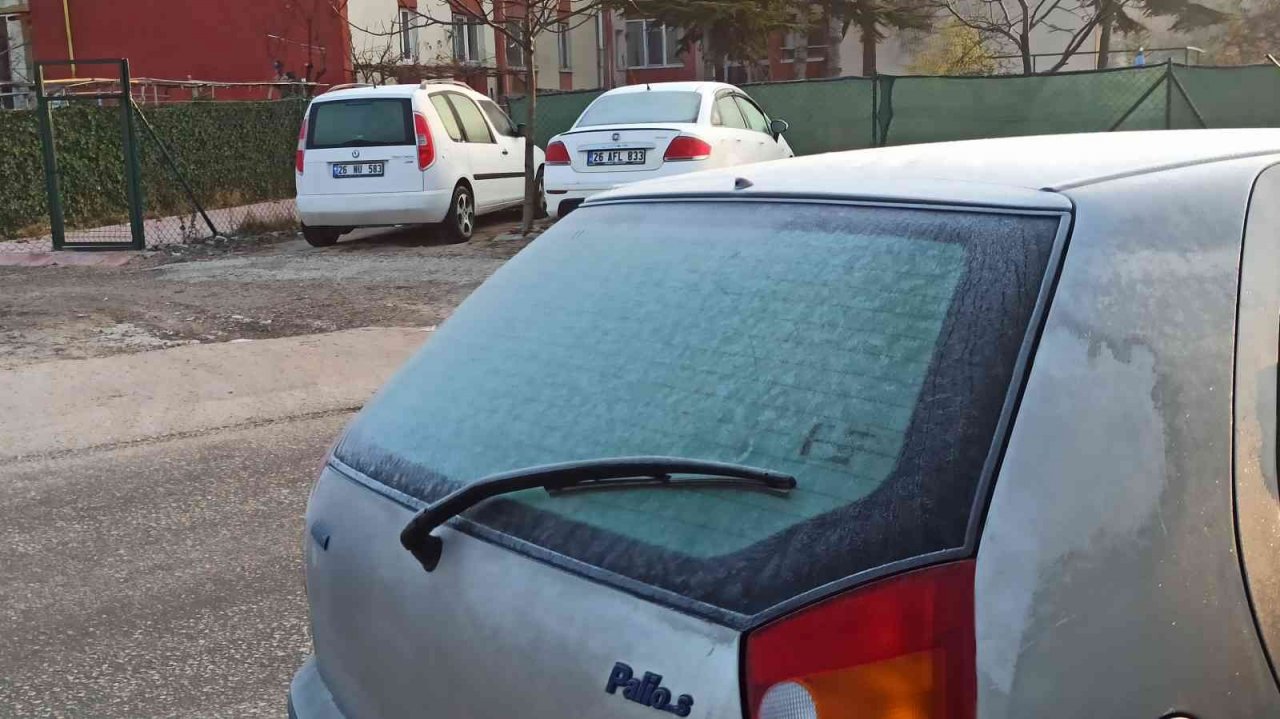 Eskişehir’de kırağı etkili oldu