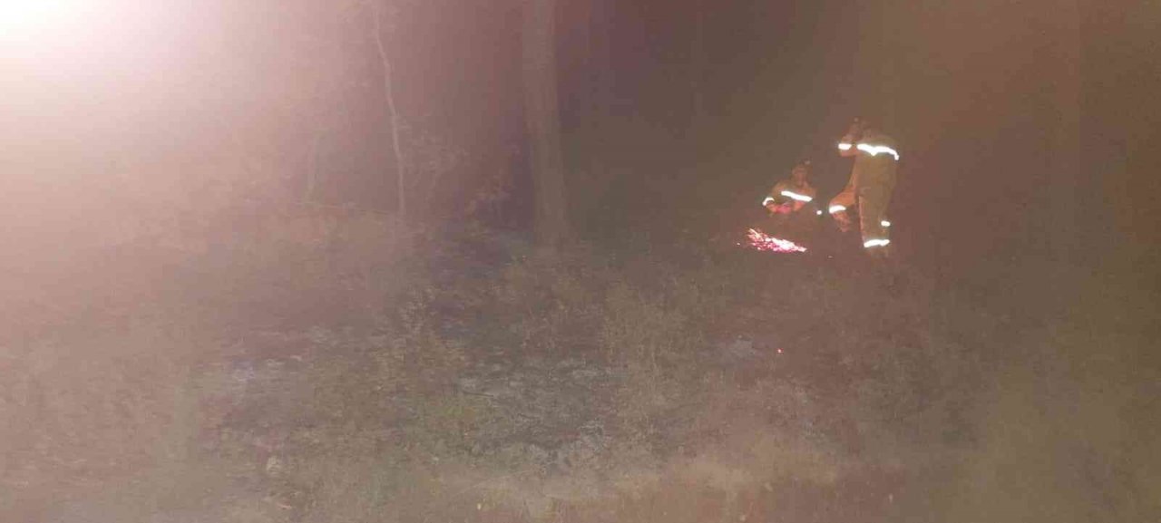 Osmaniye’de orman yangını