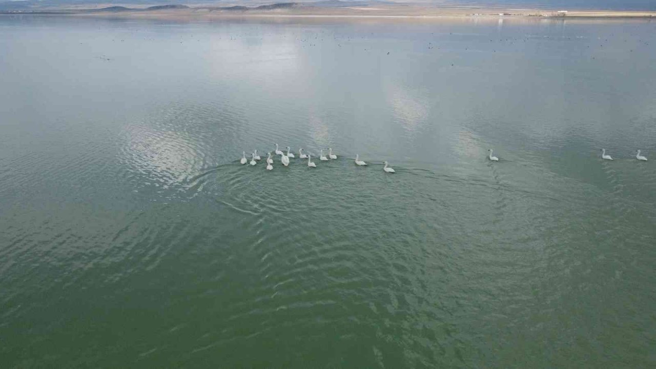 Arin Gölü son misafirlerini ağırlıyor