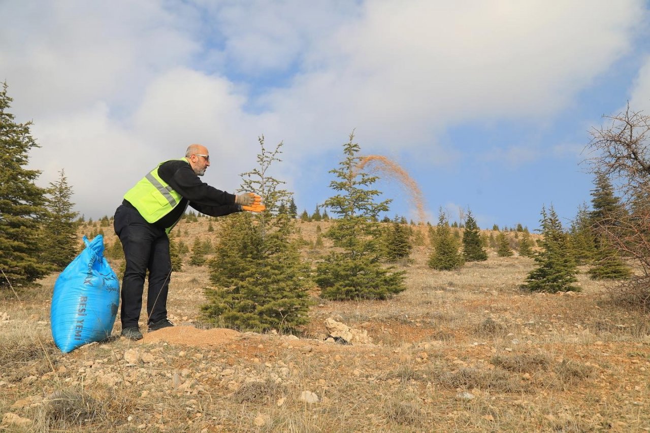 Elazığ Belediyesi, sokak ve yaban hayvanları için yem bıraktı