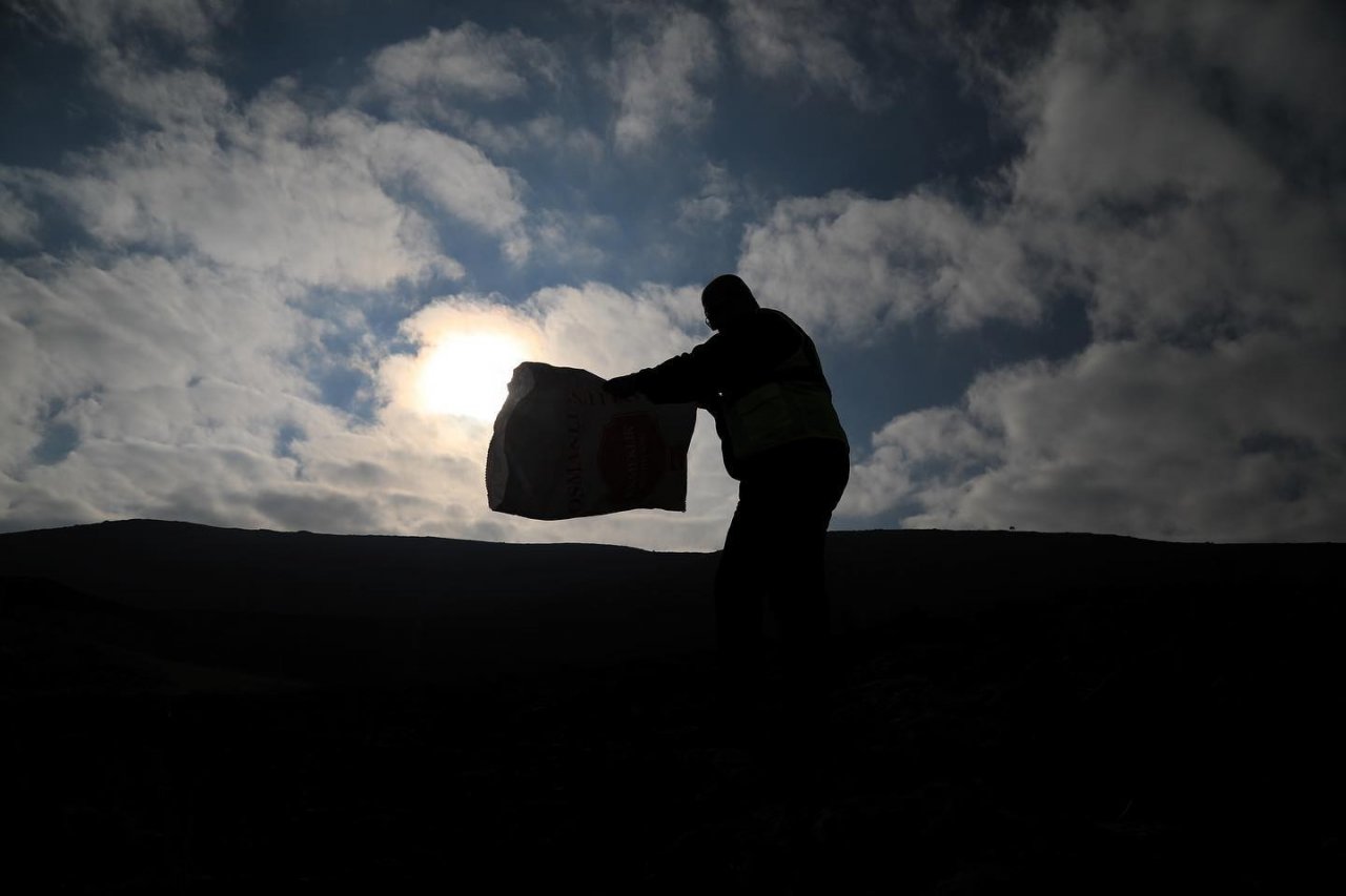 Elazığ Belediyesi, sokak ve yaban hayvanları için yem bıraktı