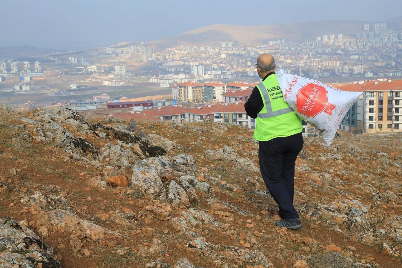 Elazığ Belediyesi, sokak ve yaban hayvanları için yem bıraktı