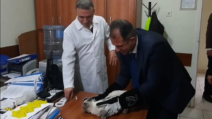 Elazığ’da ev hayvanlarının pasaportlanması ve kuduz aşılaması sürüyor