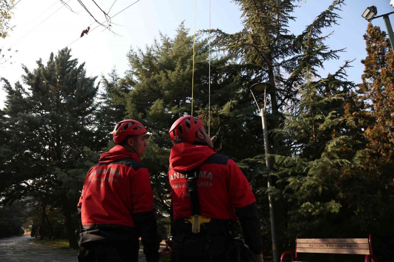 Jandarma Arama Kurtarma Timleri’nden teleferikte kurtarma tatbikatı