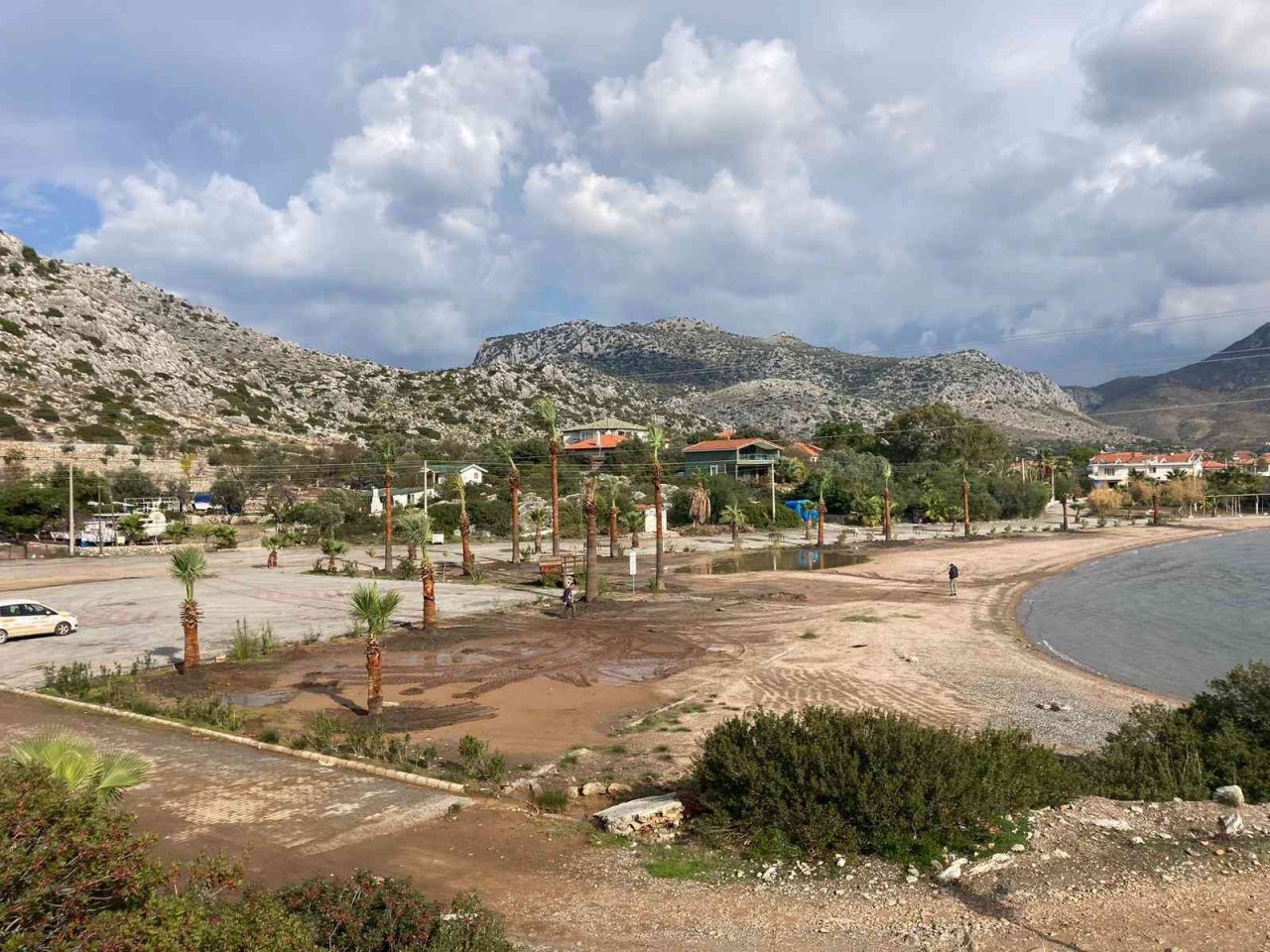 Marmaris’te halk plajlarına palmiye ağaçları dikildi