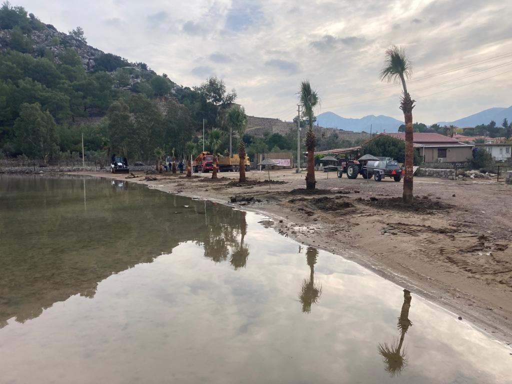 Marmaris’te halk plajlarına palmiye ağaçları dikildi