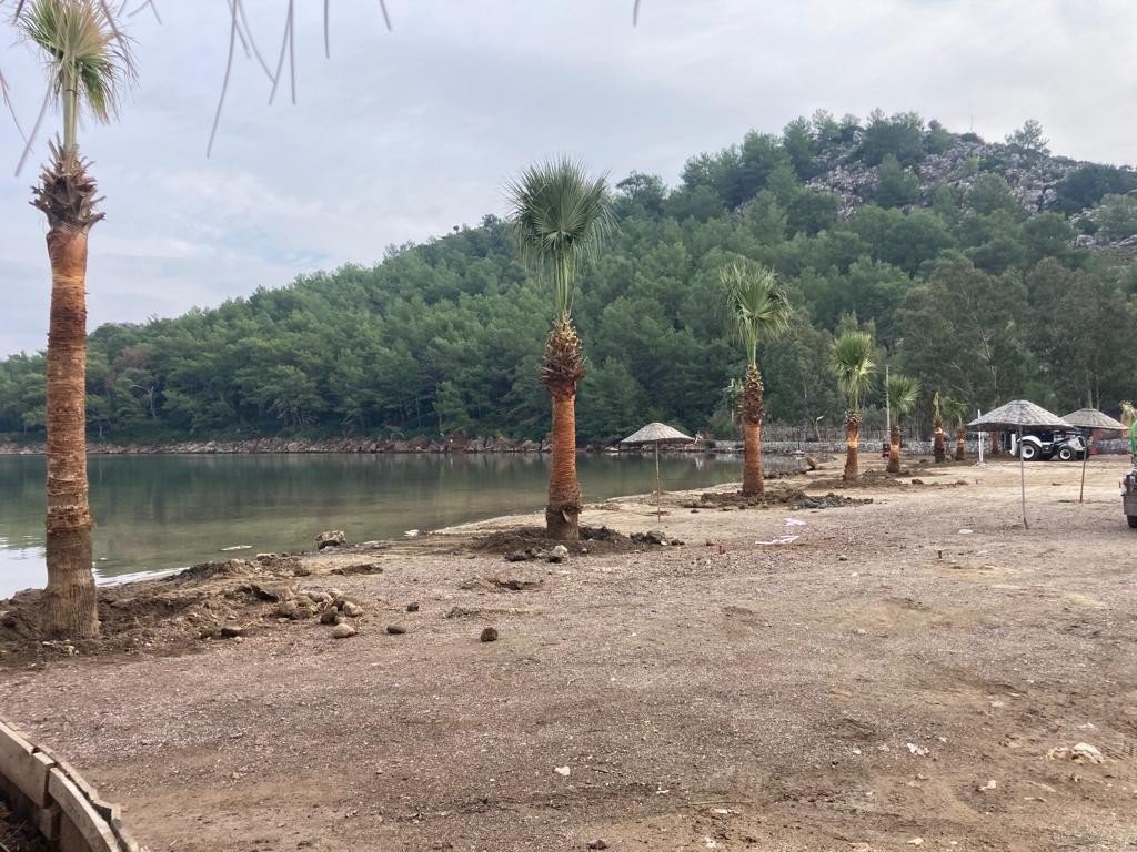 Marmaris’te halk plajlarına palmiye ağaçları dikildi