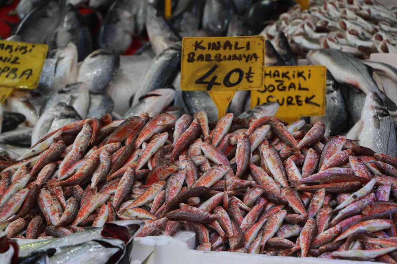 Palamuda doyan vatandaş hamsiye yöneldi