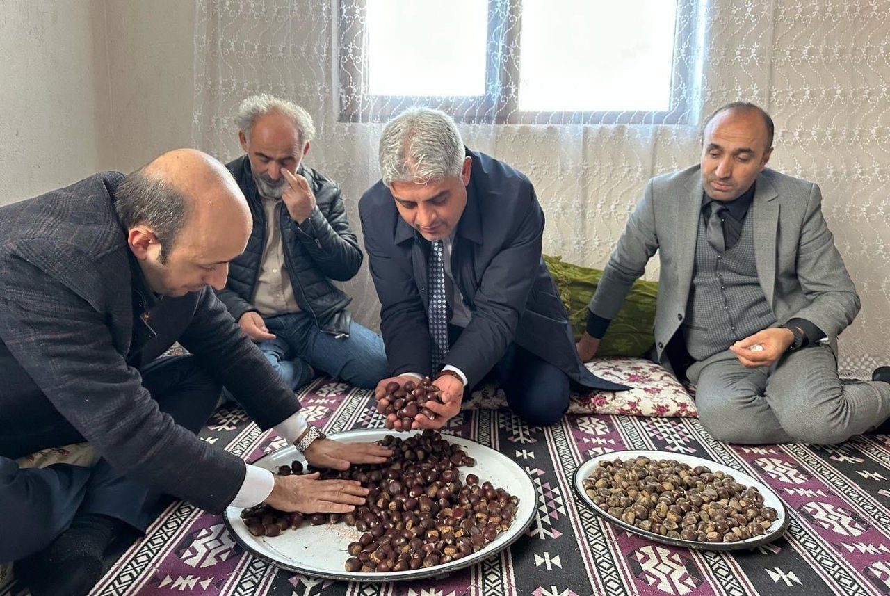 Bitlis’te kestane üretiminde verimi arttırma çalışmaları sürüyor