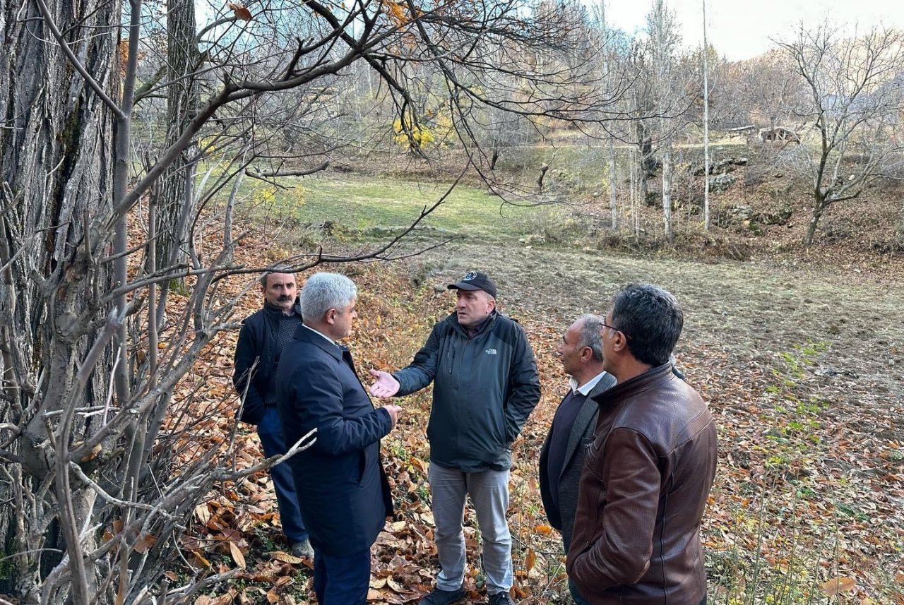 Bitlis’te kestane üretiminde verimi arttırma çalışmaları sürüyor