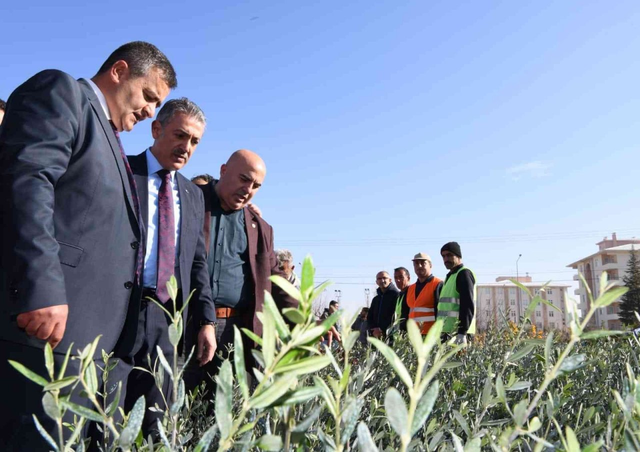 Karaman’da çiftçilere 80 bin adet fidan dağıtıldı