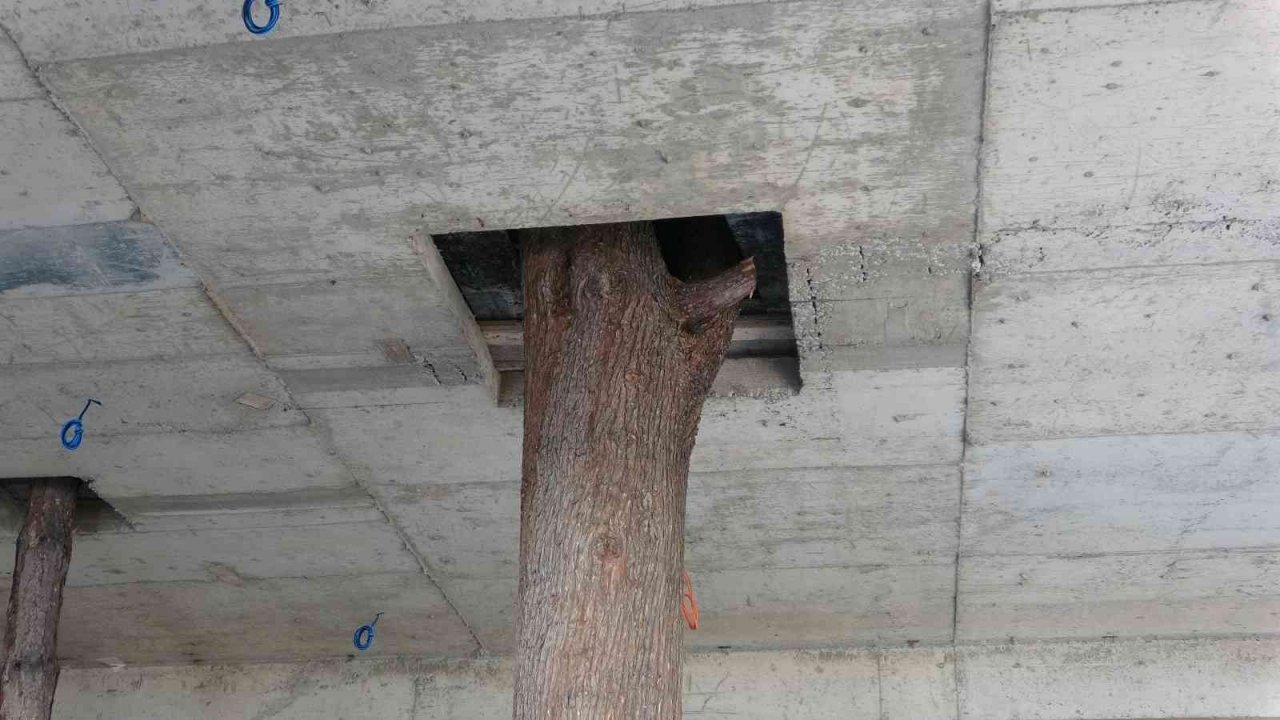 Bu inşaatı görenler şaşırıyor