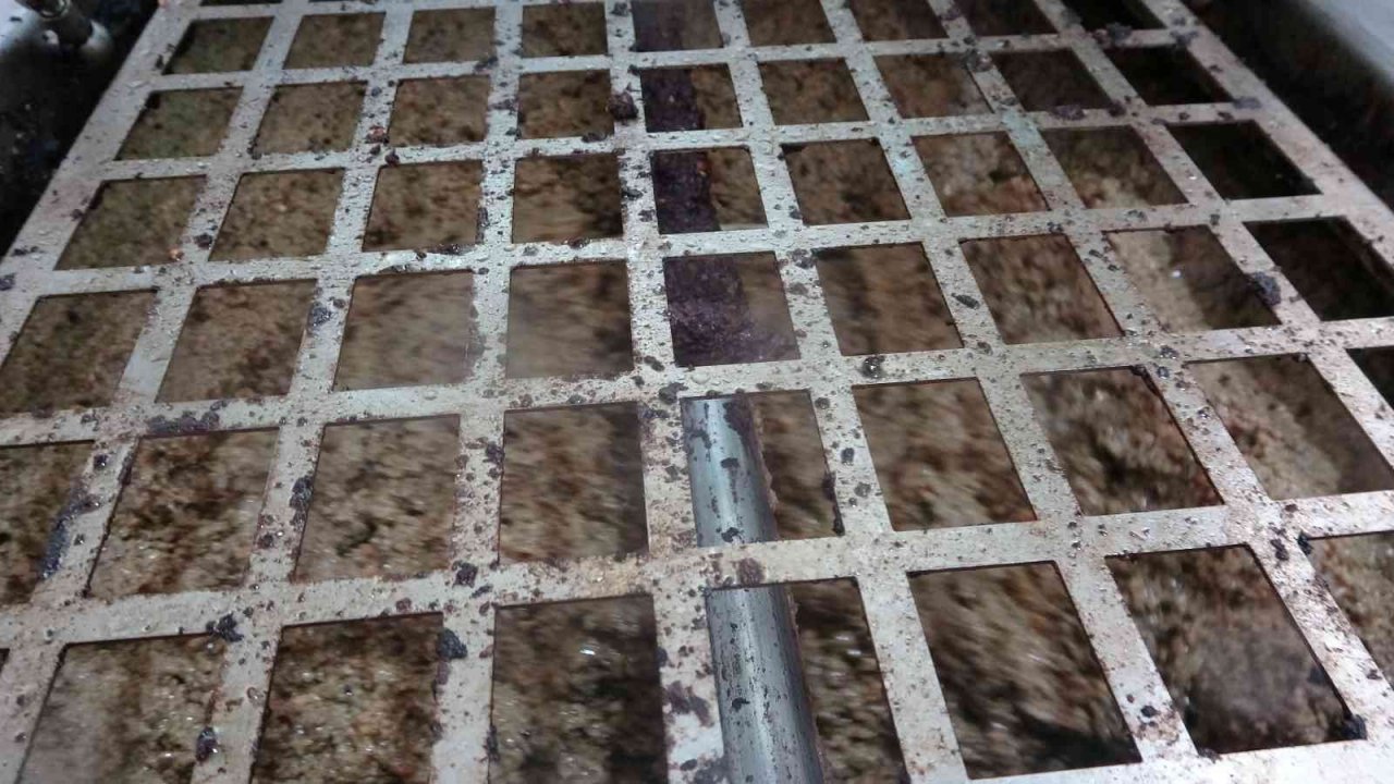 Muğla’daki fabrikalarında 7 gün 24 saat zeytinyağı nöbeti