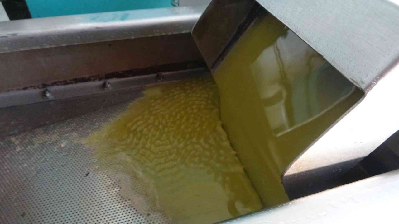 Muğla’daki fabrikalarında 7 gün 24 saat zeytinyağı nöbeti