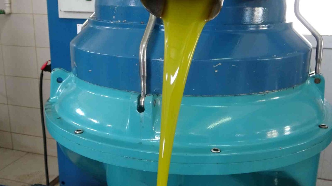 Muğla’daki fabrikalarında 7 gün 24 saat zeytinyağı nöbeti