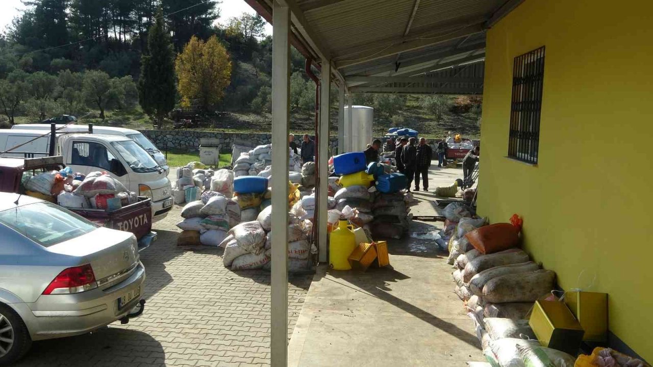 Muğla’daki fabrikalarında 7 gün 24 saat zeytinyağı nöbeti