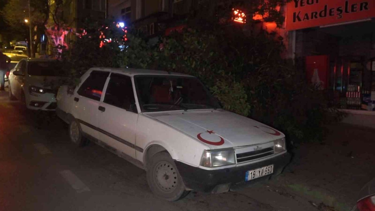 Bursa’da şiddetli lodosun etkisiyle kırılan ağaç, park halindeki otomobilin üzerine düştü