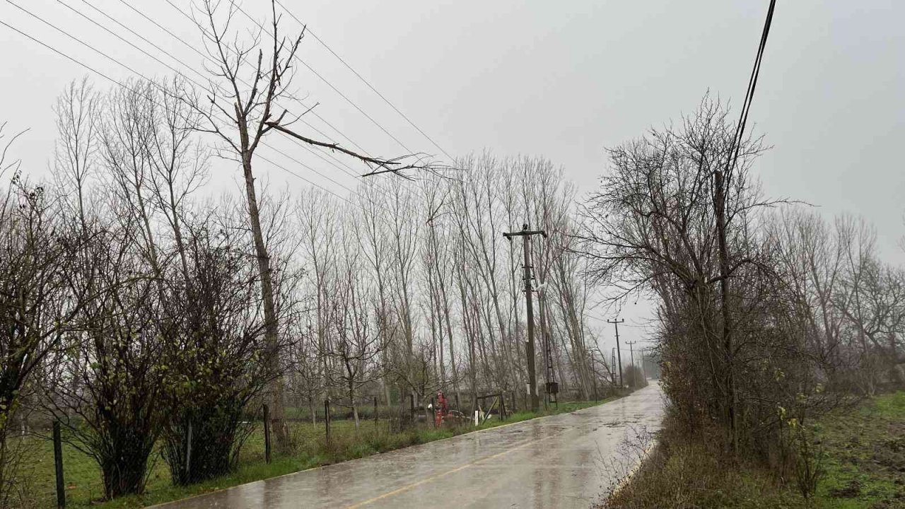 Çan’da fırtına nedeniyle ağaç dalı yüksek gerilim hattı üstüne devrildi