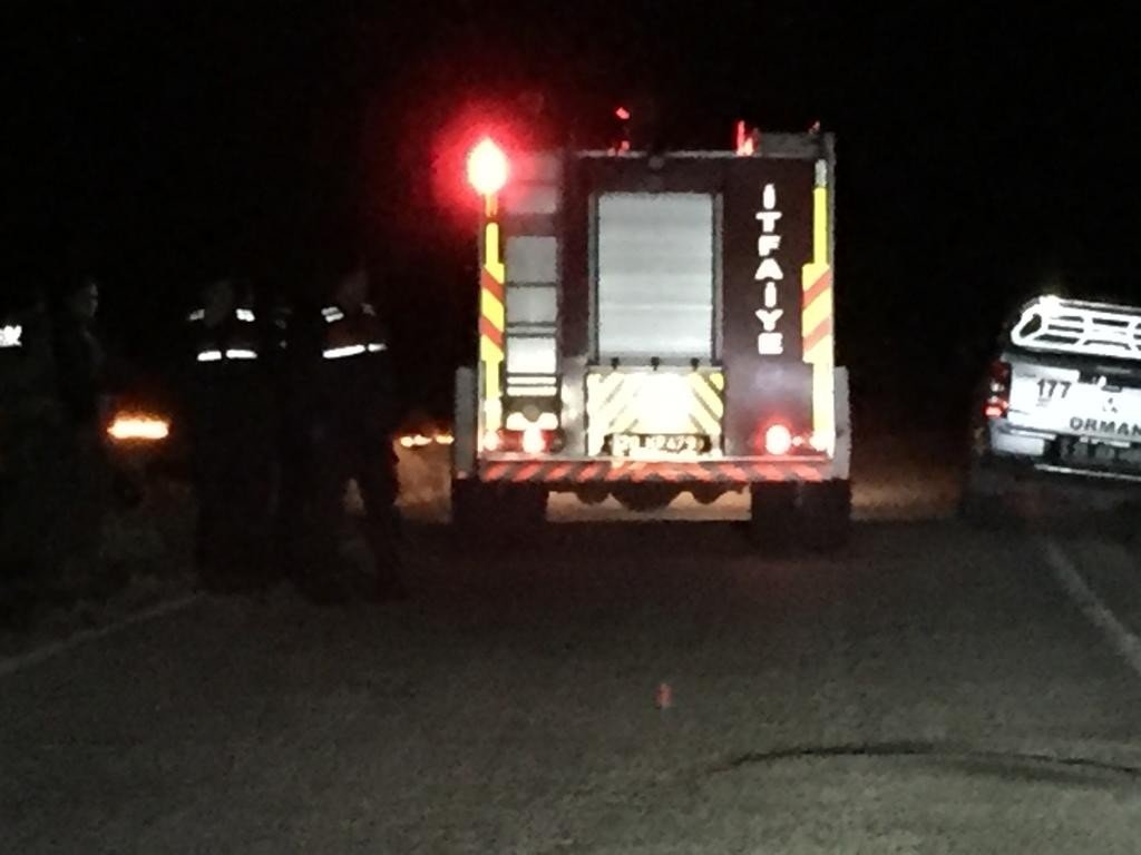 Sazlıklar alevlere teslim oldu