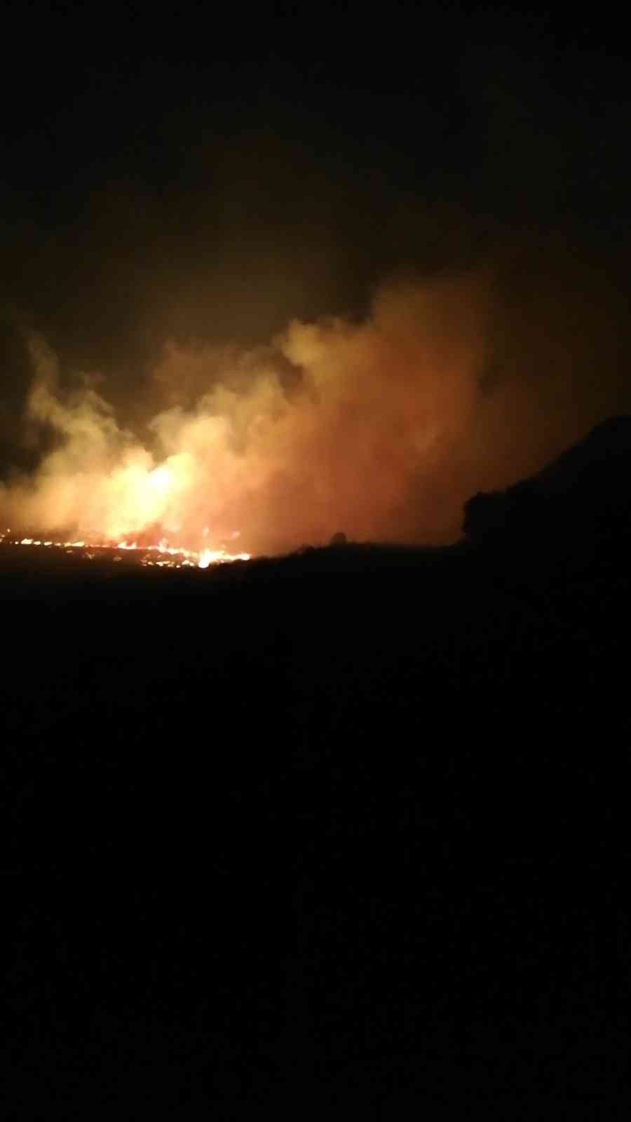 Sazlıklar alevlere teslim oldu