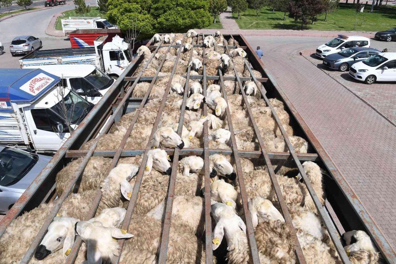 Büyükkılıç’tan kırsala 1 milyar TL’yi aşkın yatırım