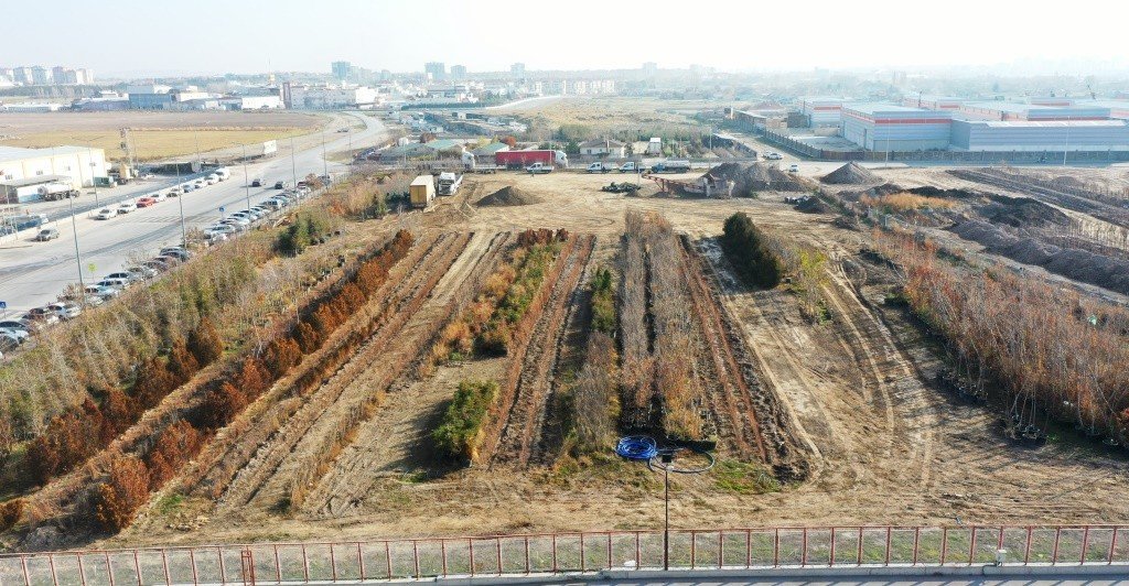 Başkan Çolakbayrakdar; “Kocasinan’da yemyeşil bir bahar olacak!”