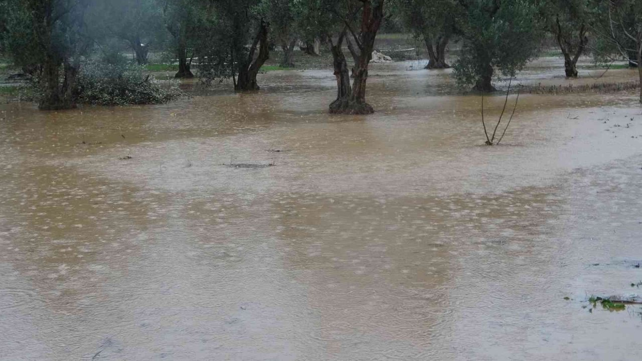 Muğla’da şiddetli yağış etkili oldu