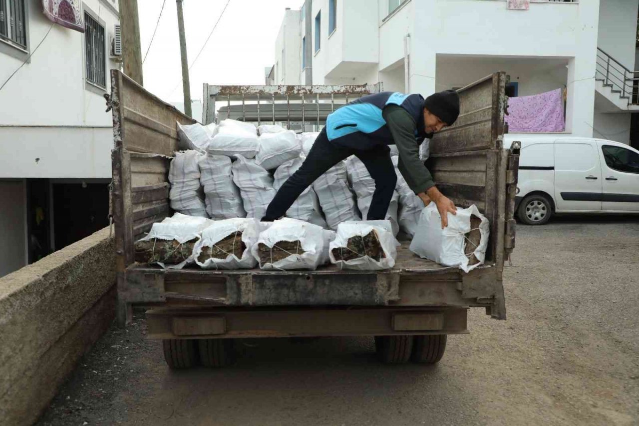 Belediyeden vatandaşlara yakacak desteği