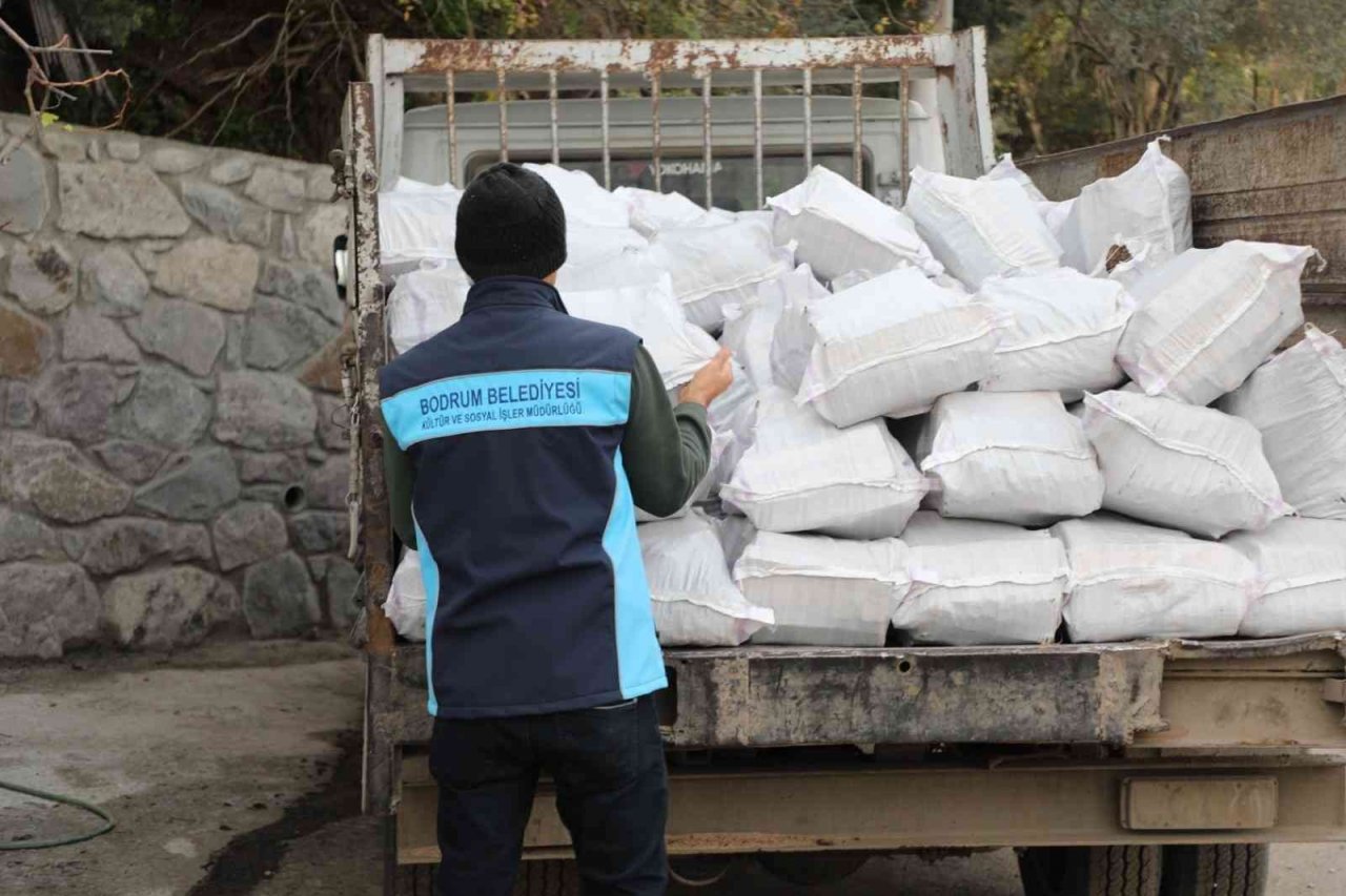 Belediyeden vatandaşlara yakacak desteği