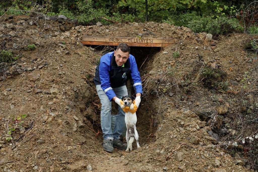 İnegöl’de E-Devlet üzerinden hayvan sahiplenme işlemi başladı