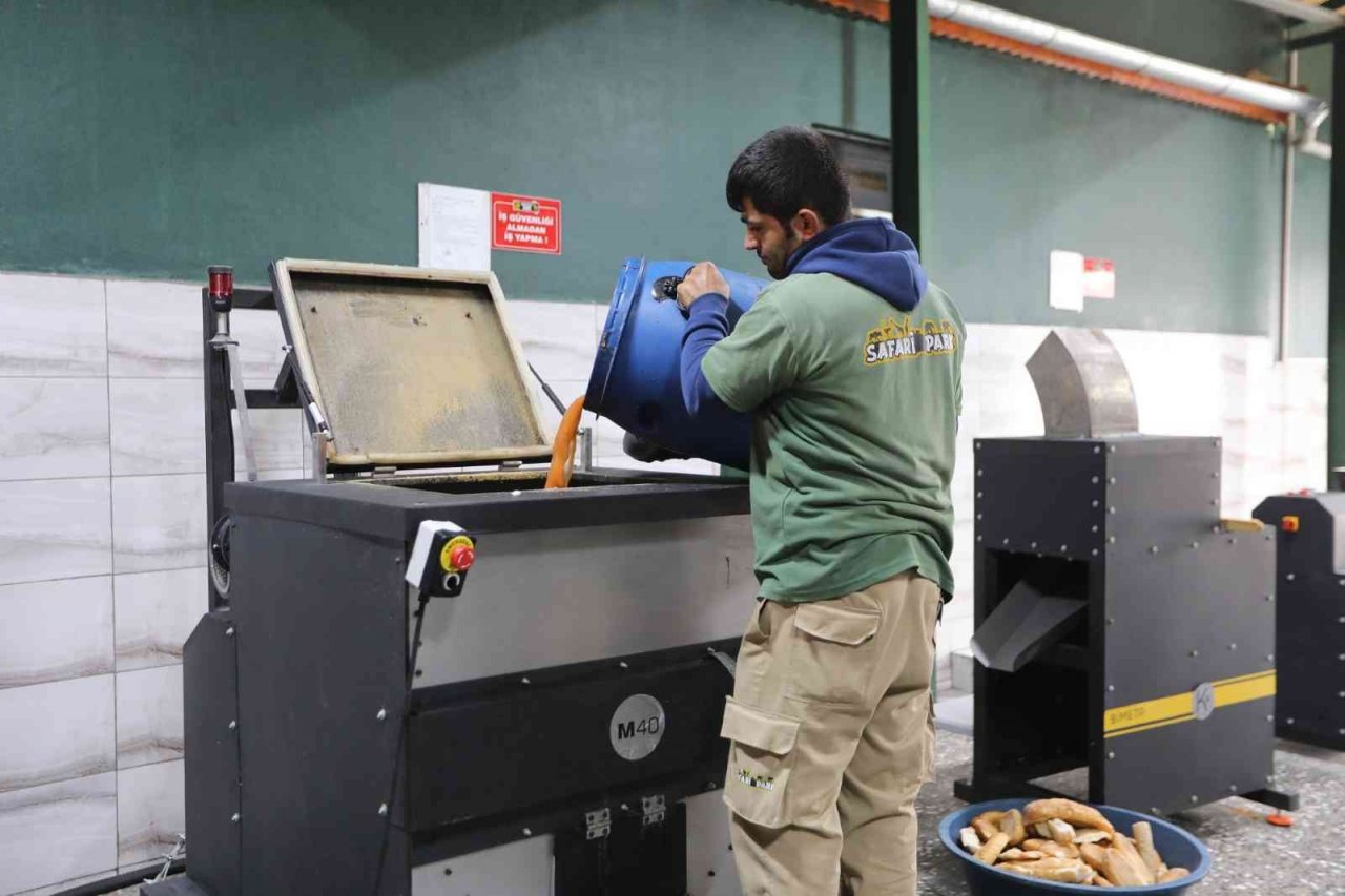 Gastronomi lezzetleri sokak hayvanlarına mama olarak sunuyor