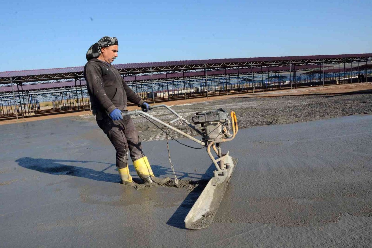 Hayvan pazarında üst yapı ve genişletme çalışması