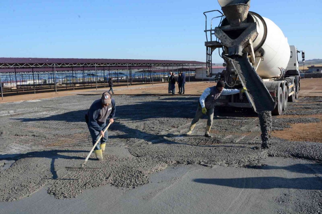 Hayvan pazarında üst yapı ve genişletme çalışması