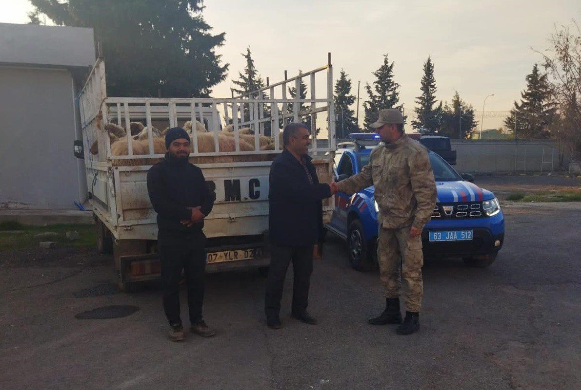 Şanlıurfa’da hayvan hırsızları yakalandı