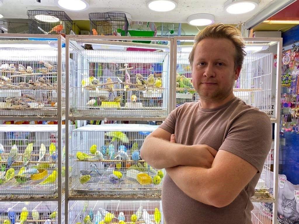 Muhabbet kuşları içinde İngilizler bir adım önde