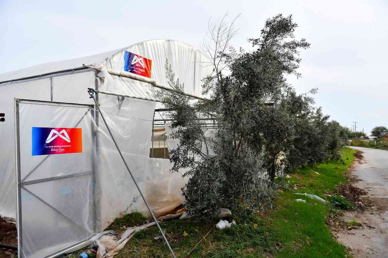 Mersin’de örtü altı üreticilerine destek